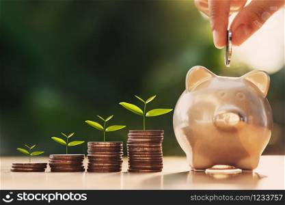 hand puting coins in piggy bank with money stack and plant growing step on desk