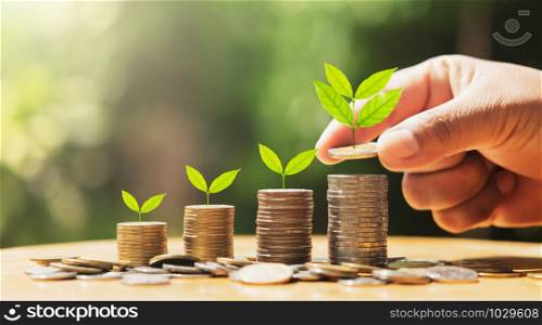 hand putting coins on stack with plant growing on money . concept finance and accounting