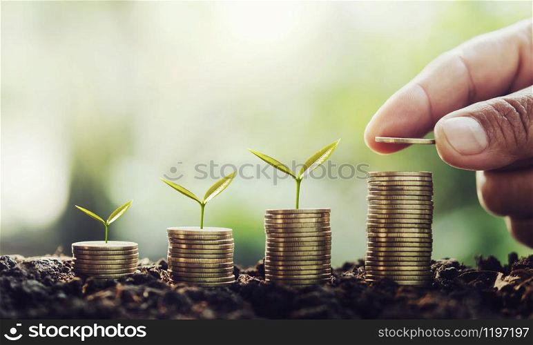 hand putting money on stack with small tree growing step in coins. concept finance and accounting