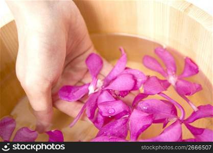 Hand scooping up a petal