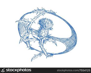 Hand sketched drawing illustration of rugby ball with Scotch thistle flower and vine entwined on isolated background,. Rugby Ball With Scotch Thistle Drawing