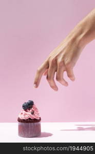 hand tasty cupcake. High resolution photo. hand tasty cupcake