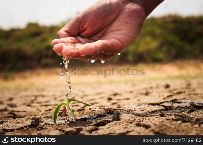 Hand watering the ground barren