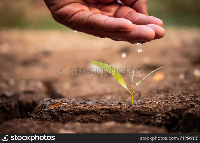 Hand watering the ground barren