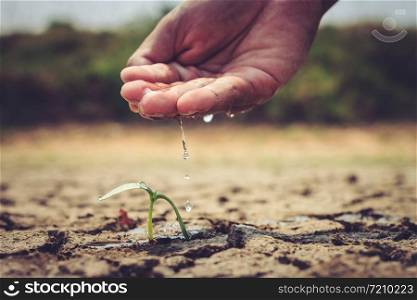 Hand watering the ground barren