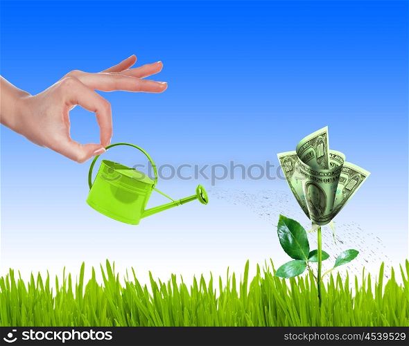 Hand with a small watering can watering green grass and shrubs of dollar bills