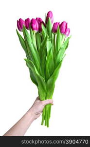 Hand with bouquet from pink tulips isolated on white