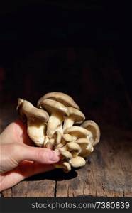 Hand with Bunch of shimeji mushrooms