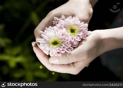 Hand With Flowers On Nature Background