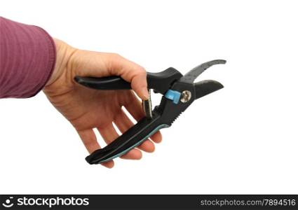 Hand with secateurs