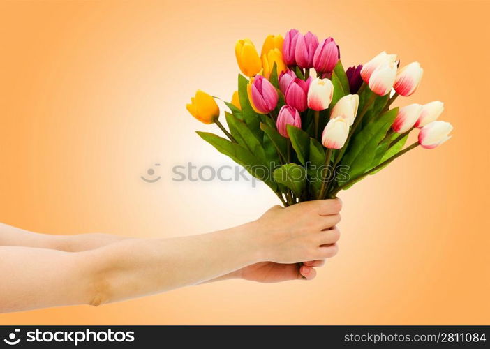 Hand with tulips on gradient