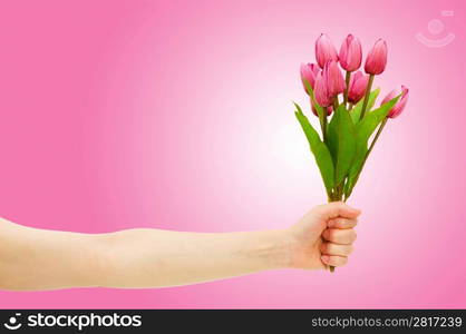 Hand with tulips on gradient