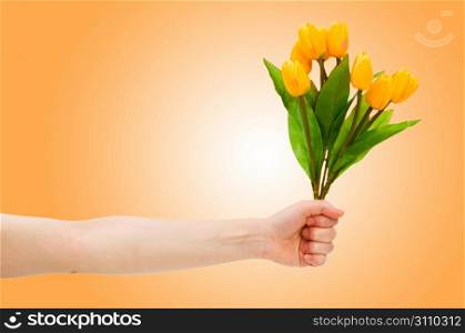 Hand with tulips on gradient
