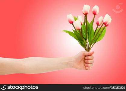 Hand with tulips on gradient