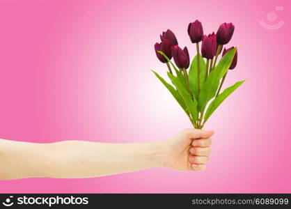 Hand with tulips on gradient