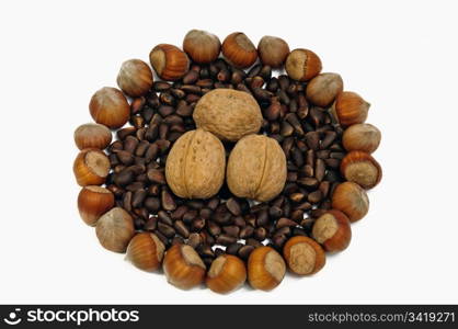 handful of fresh hazelnuts filled up among the pine nuts, isolated on white background