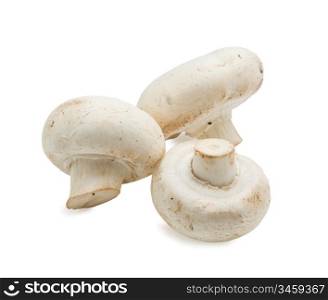 handful of raw mushrooms isolated on white background