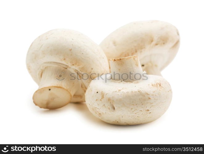 handful of raw mushrooms isolated on white background