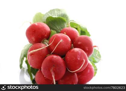 handful of red radishes and green leafs