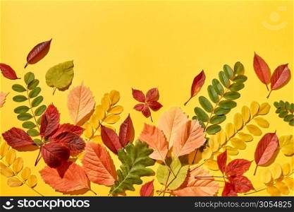Handmade multicolored leaves pattern on an yellow background with hard shadows. Greeting card.. Autumn background handmade from colorful leaves.