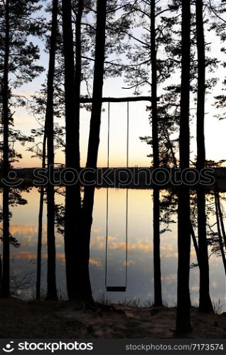 Handmade swing in the pine forest near the lake at sunset.. Handmade swing in the pine forest near the lake at sunset