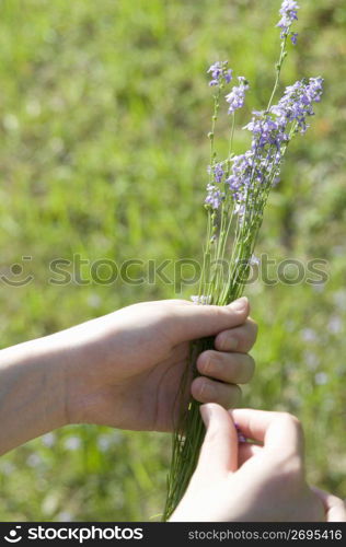 Hands and flowers