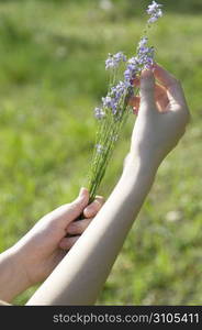 Hands and flowers