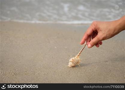Hands are catching shellfish by the sea.