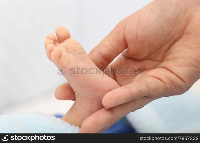 Hands holding a baby foot