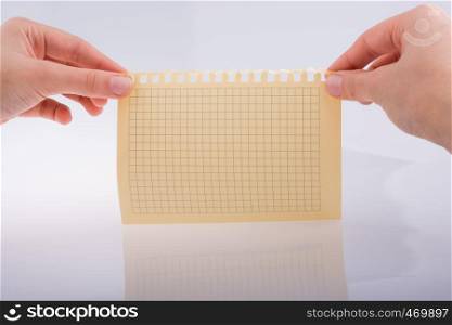 Hands holding a sheet of paper on a white background