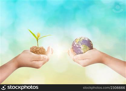 Hands holding earth globe and growing seedlings over blurred nature background. World environment day, Forest conservation concept. Elements of this image furnished by NASA