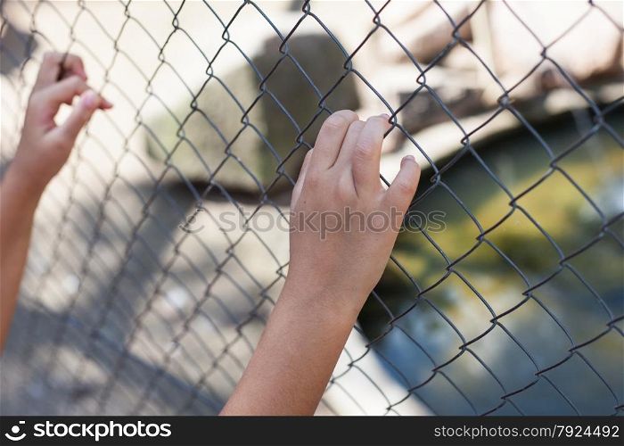 Hands holding fence on outdoor scenery during daylight