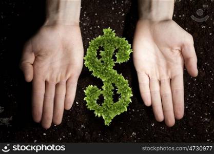 Hands holding green dollar sign and soil at background. Rich soil for your income