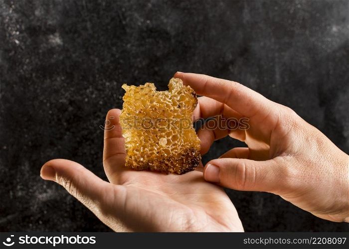 hands holding honeycomb