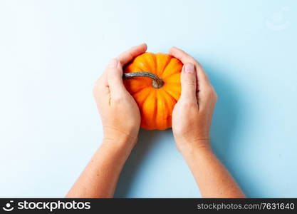 Hands holding orange pumpkin on blue background. pumpkin on table