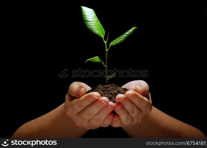 Hands holding plant in soil on black