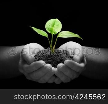 Hands holding sapling in soil on black