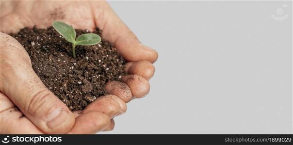 hands holding soil growing plant with copy space. Resolution and high quality beautiful photo. hands holding soil growing plant with copy space. High quality beautiful photo concept