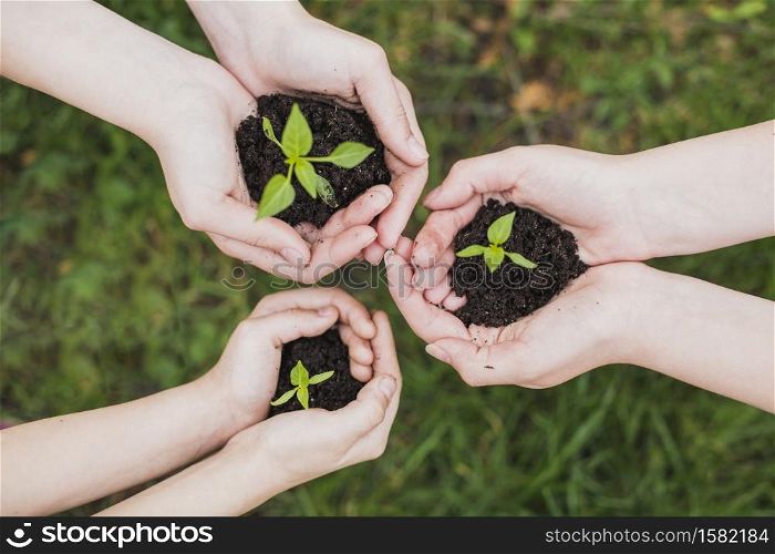 hands holding sprout nature concept