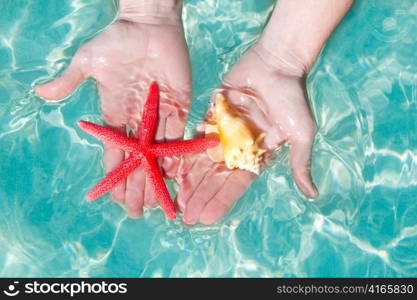 Hands holding starfish and seashell in ripple clean sea tropical water