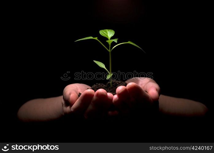 Hands holdings a little green plant on a black background