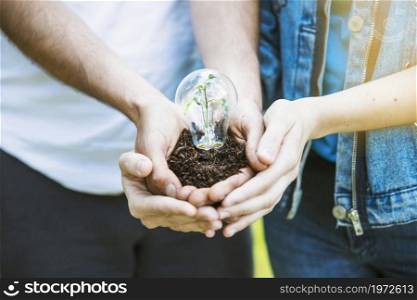 hands keeping plant lamp ground. High resolution photo. hands keeping plant lamp ground. High quality photo