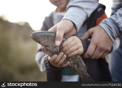 Hands of mother and son holding trapped fish