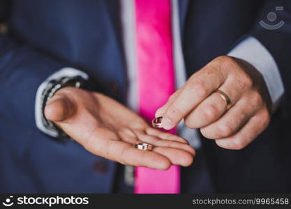 Hands of newlyweds with wedding rings.. Delicate hands with wedding rings 2165.