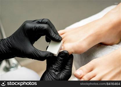 Hands of pedicurist buffing toenail of woman by white nail buff in nail salon. Pedicurist buffing toenail of woman