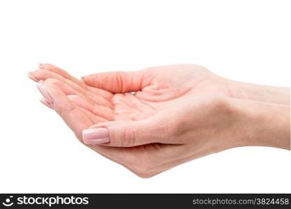 hands of young woman - isolated on white background