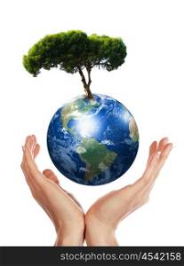 Hands, our planet Earth and the tree - a symbol of environmental protection