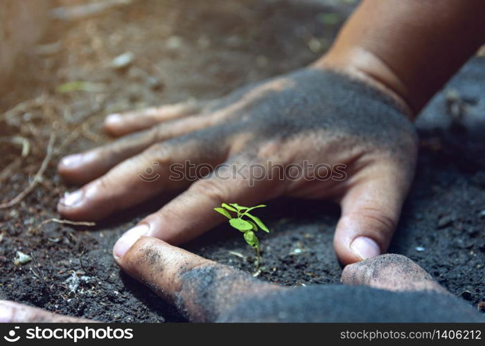 Hands protect growing plants. Save Earth Planet World Concept. Save nature. Environment protection. narturing tree growing on fertile soil.