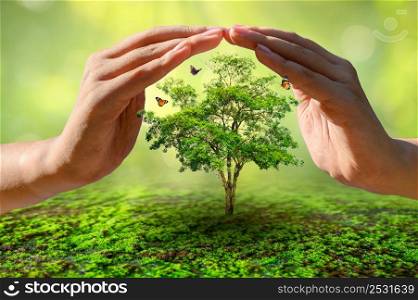hands protecting trees world environment day concept