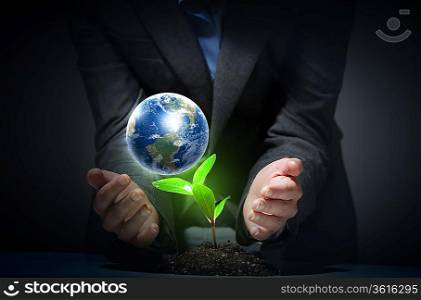 hands, the young sprout and our planet Earth